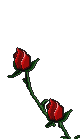 Thanks Dhamon for everything *hugs*